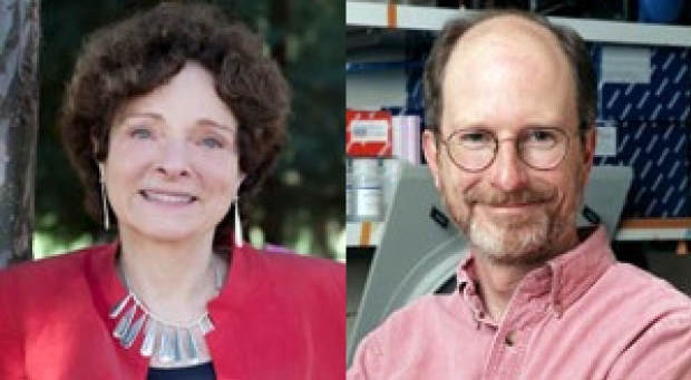 Professors Elected to National Academy of Sciences